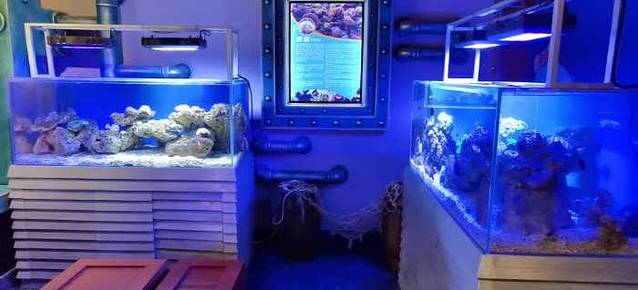 太奥幻太奇海洋馆