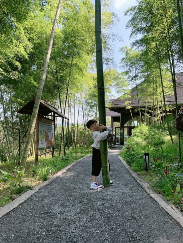 湖州长颈鹿庄园