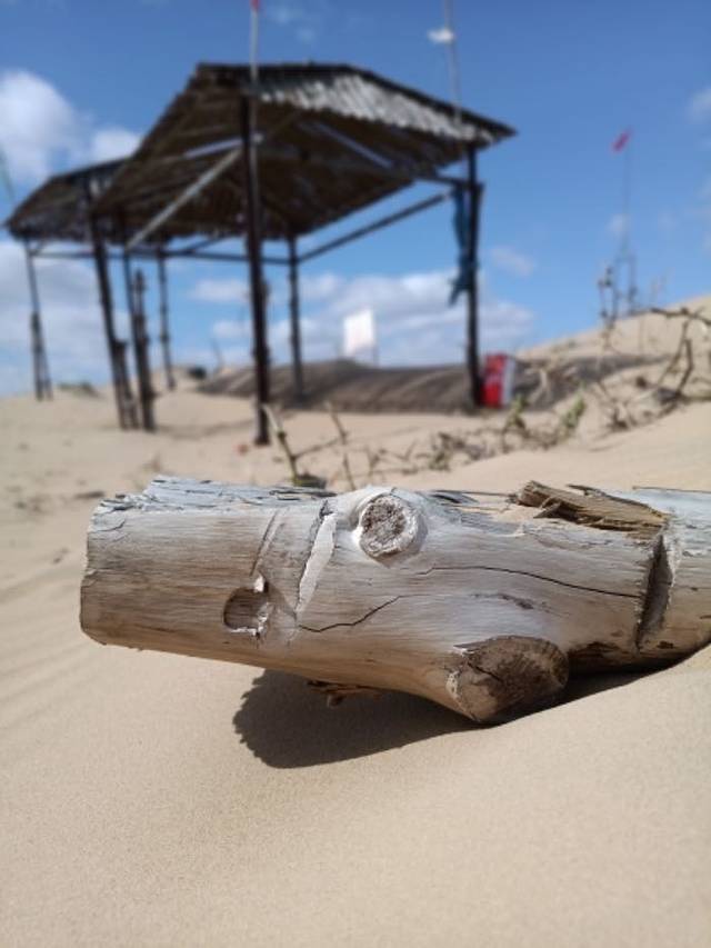 草甘沙漠旅游区