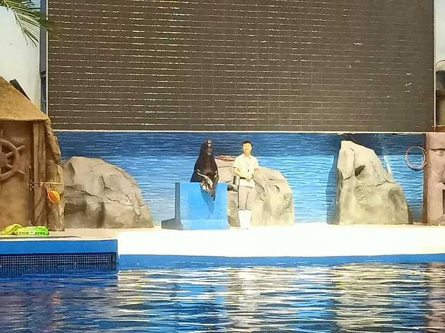 荆州小梅沙海洋馆