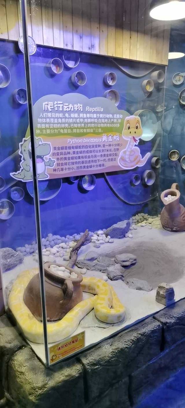 太奥幻太奇海洋馆