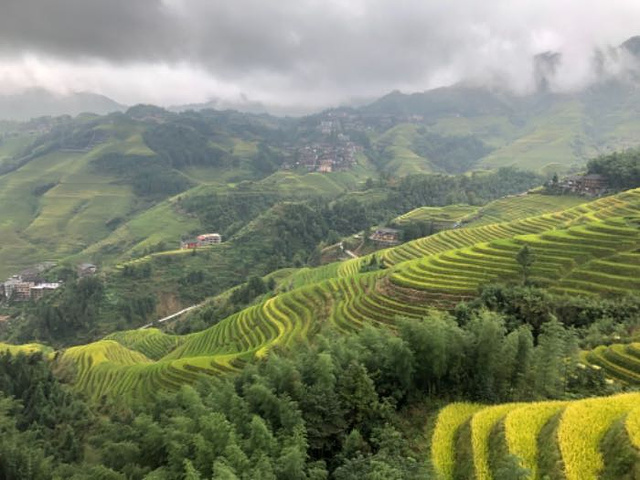 "虽然国庆人多，龙脊梯田景色壮美还是值得一游。一天行程结束了，对嘉美旅行社的马桂新师傅很满意_黄洛红瑶寨"的评论图片