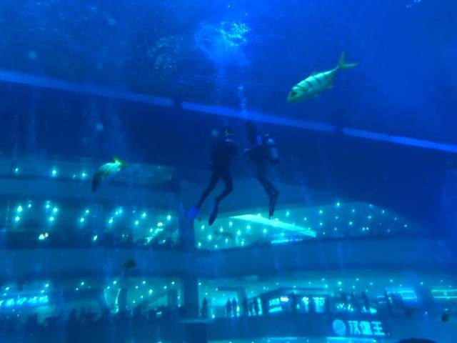 海滨城浩海立方海洋公园