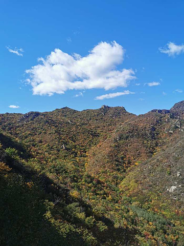 "_大黑山国家森林公园"的评论图片