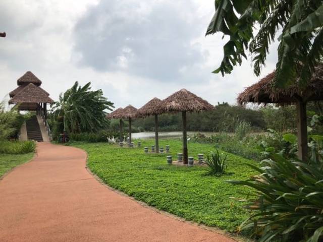 桂林洋国家热带农业公园