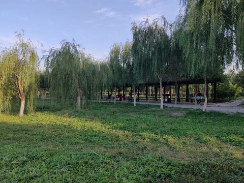 西青郊野公园旅游景点图片