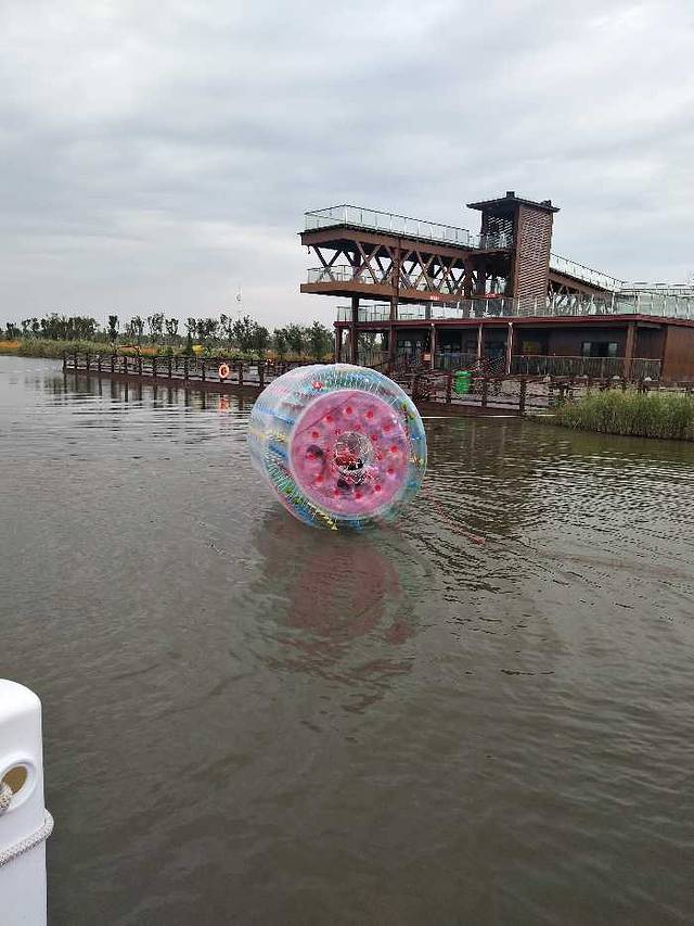 台州湾湿地公园