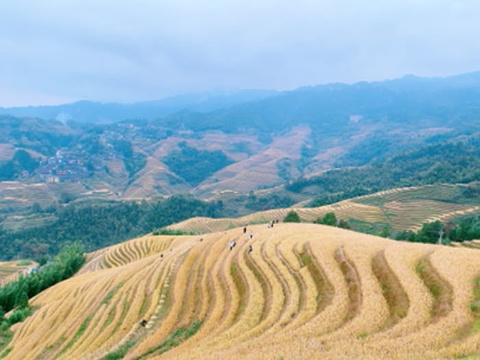 黄洛红瑶寨旅游景点攻略图