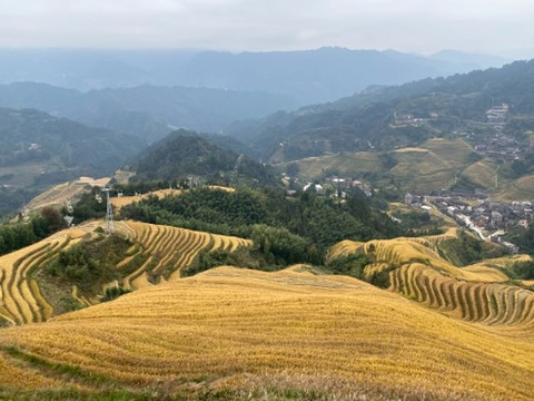 黄洛红瑶寨旅游景点攻略图