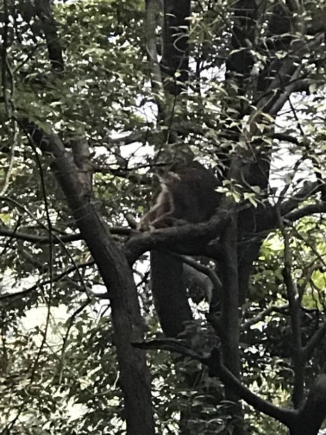 赤水丹霞旅游区·佛光岩