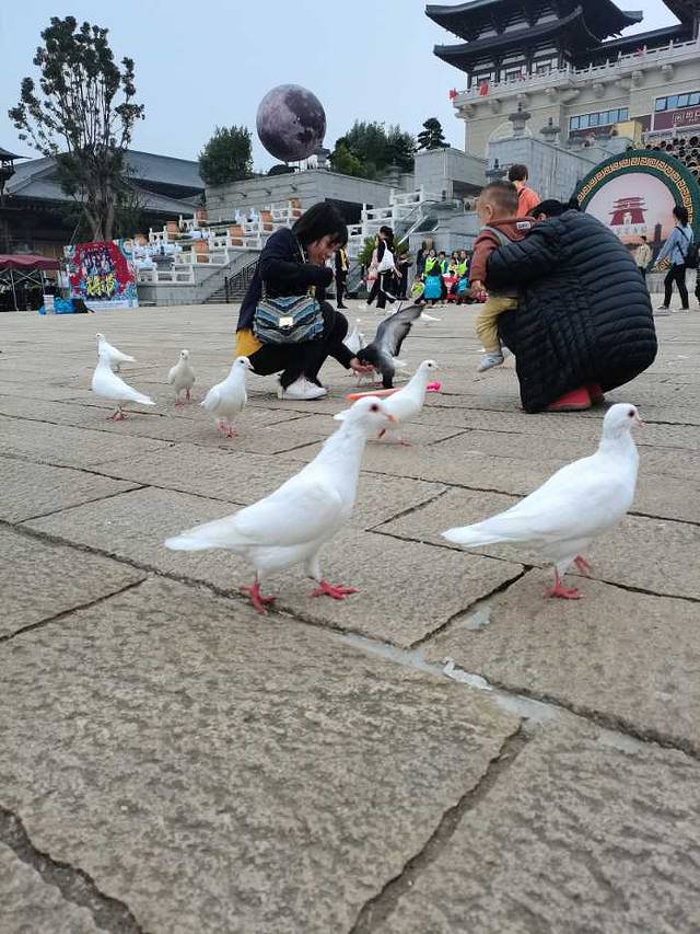 长沙铜官窑国家考古遗址公园