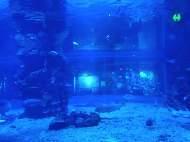 荆州小梅沙海洋馆