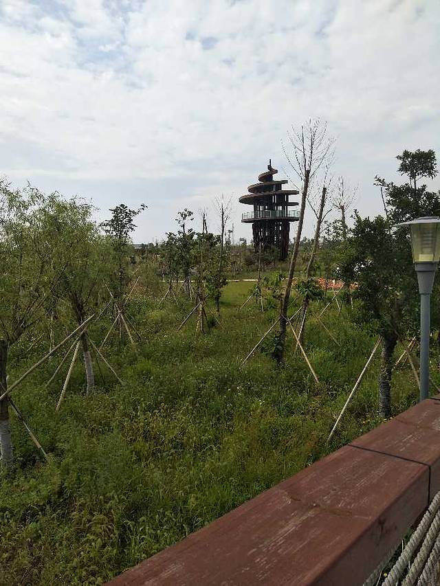 台州湾湿地公园