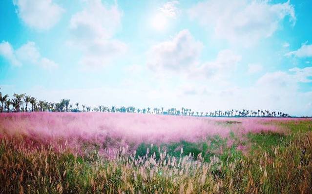 桂林洋国家热带农业公园