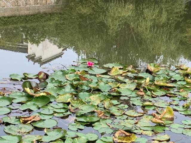 中国非物质文化遗产园