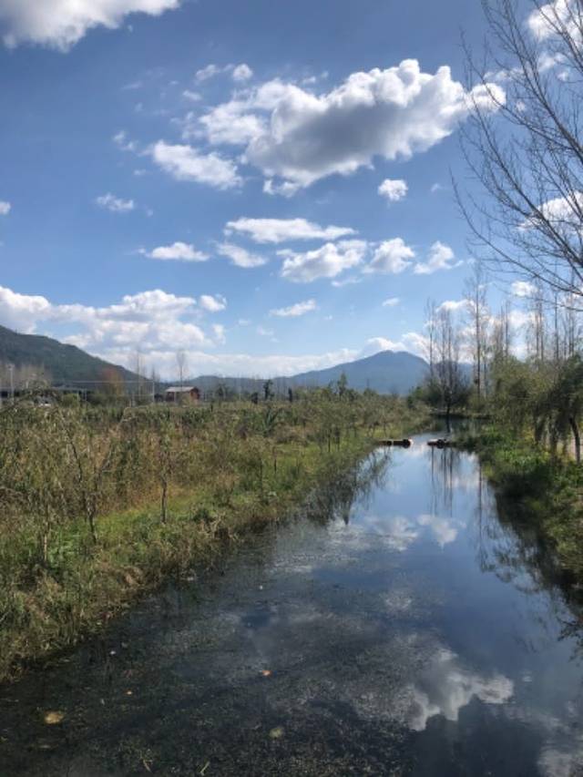 拉市海安中马场