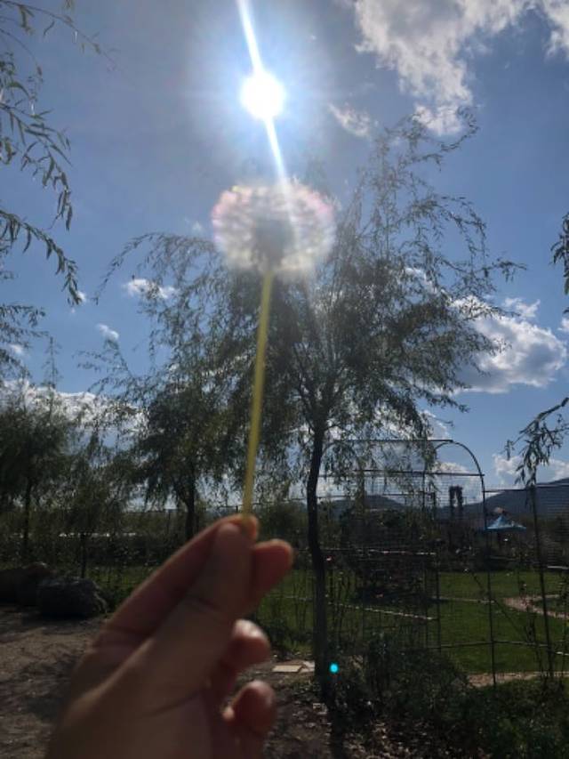 拉市海安中马场