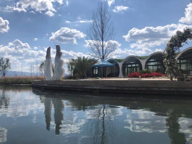 拉市海安中马场