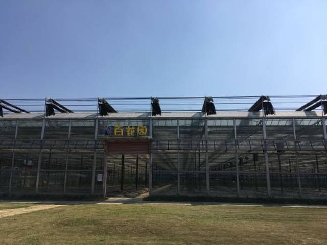 梦里水乡百花园