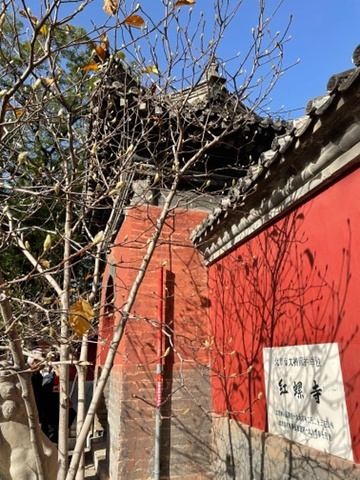 "_红螺寺"的评论图片