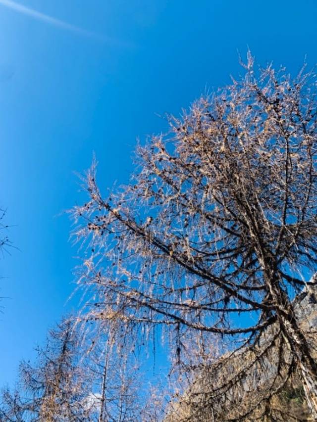 阿坝州汶川特别旅游区