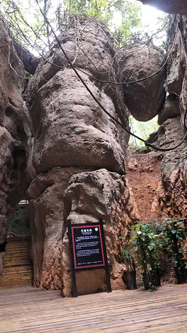 "_雨花石景区"的评论图片