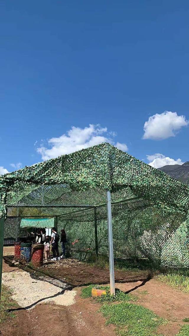 拉市海安中马场