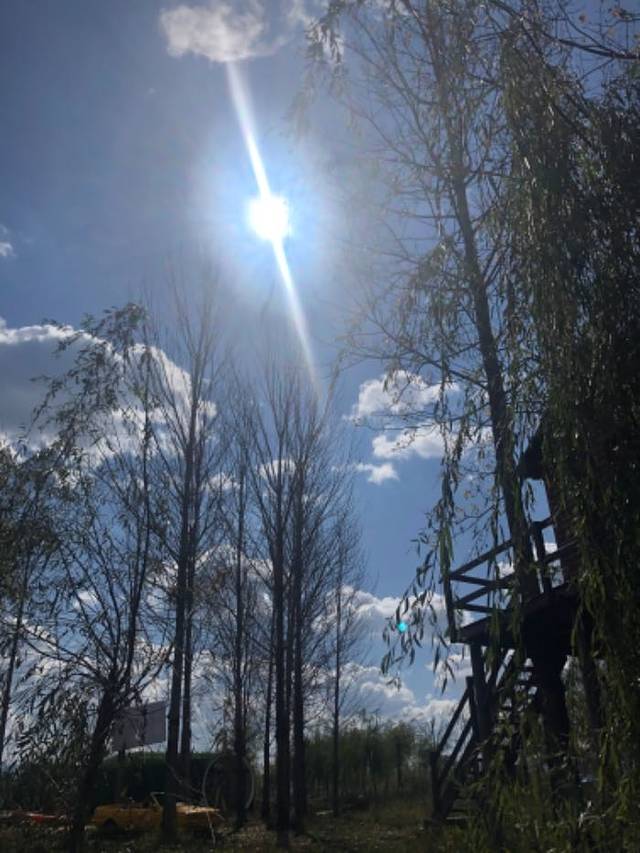 拉市海安中马场