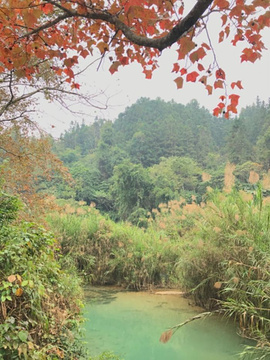 荔波小七孔景区旅游景点攻略图