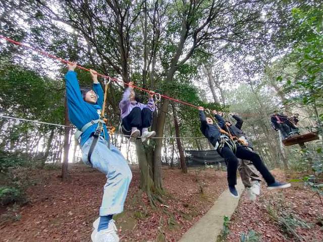 飞越丛林户外探险乐园