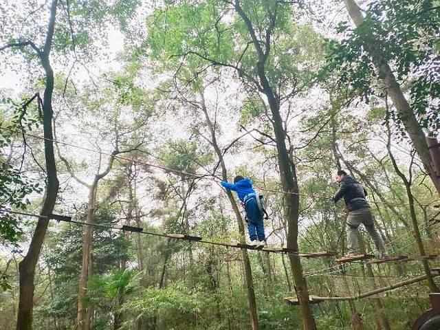 飞越丛林户外探险乐园