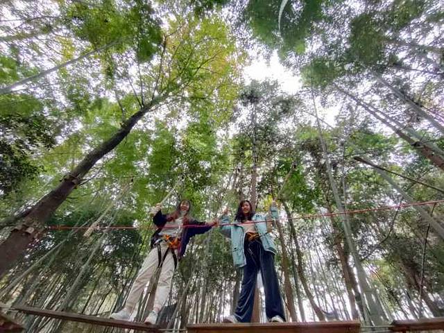 飞越丛林户外探险乐园