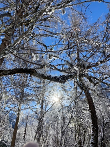 "12.4出发毕棚沟旅游 景色很漂亮 导游..._毕棚沟滑雪场"的评论图片