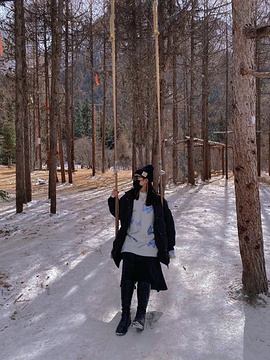 鹧鸪山自然公园滑雪场旅游景点攻略图