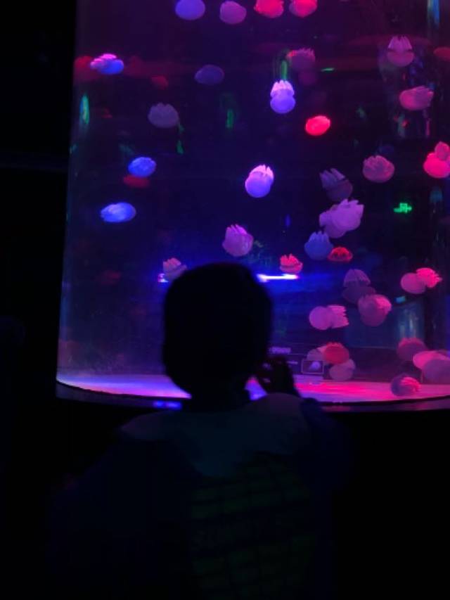 正佳广场商贸旅游区