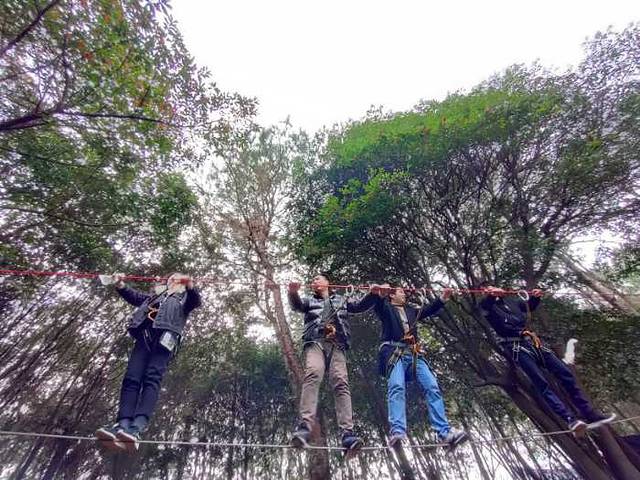 飞越丛林户外探险乐园