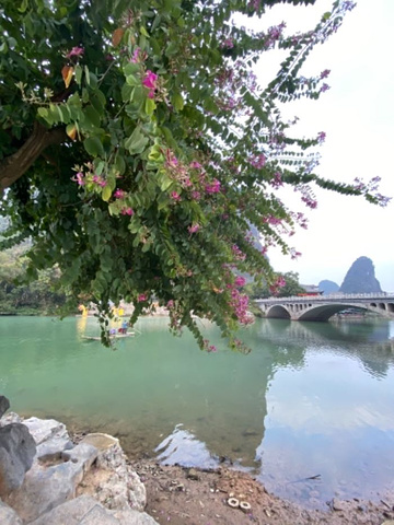 "刘师傅开车技术很好，开得很平稳，一路上给我们介绍风景，当地特色小吃，风景真的很美让我们流连忘返_遇龙河景区"的评论图片