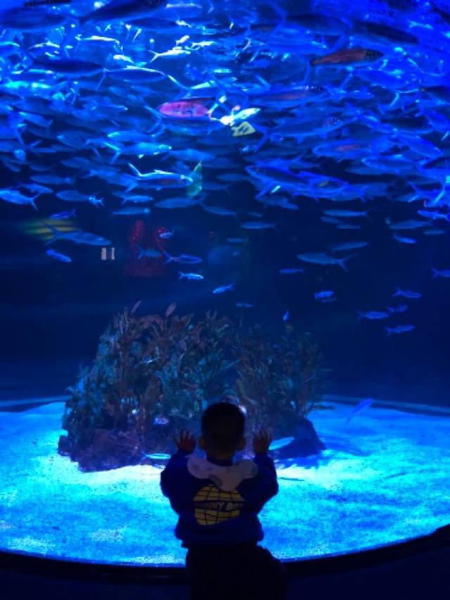 正佳广场商贸旅游区