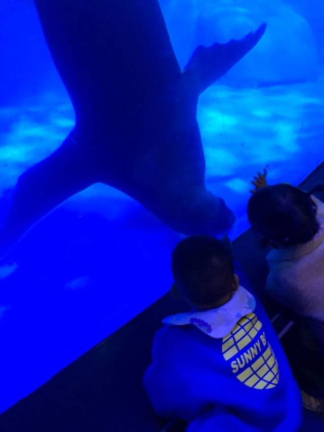 正佳广场商贸旅游区