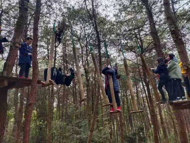 重庆飞悦森林探险乐园