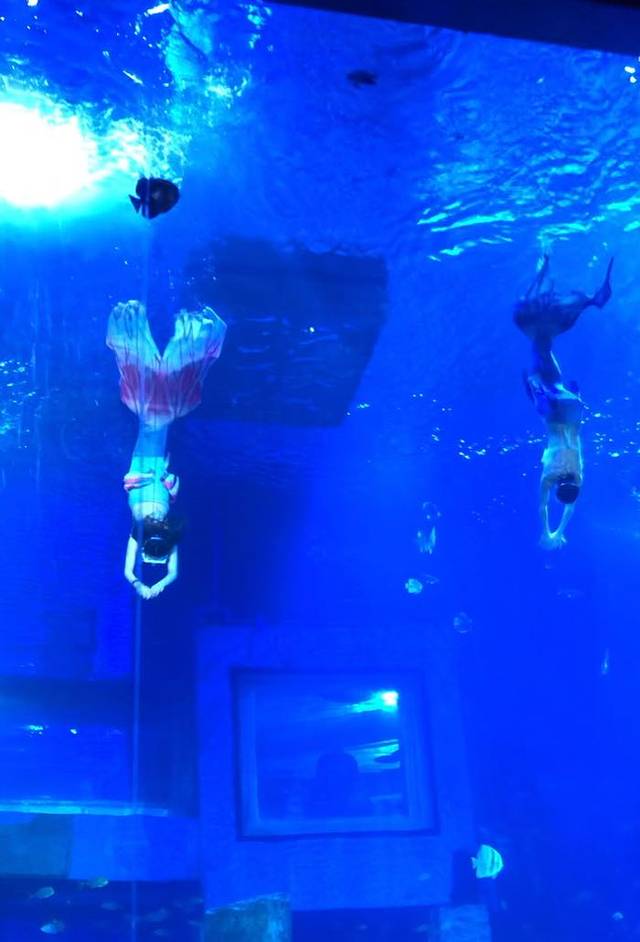 正佳广场商贸旅游区