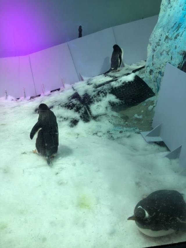 正佳广场商贸旅游区