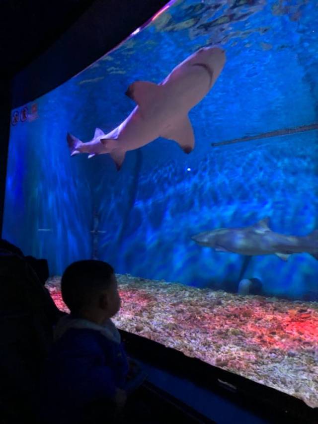 正佳广场商贸旅游区