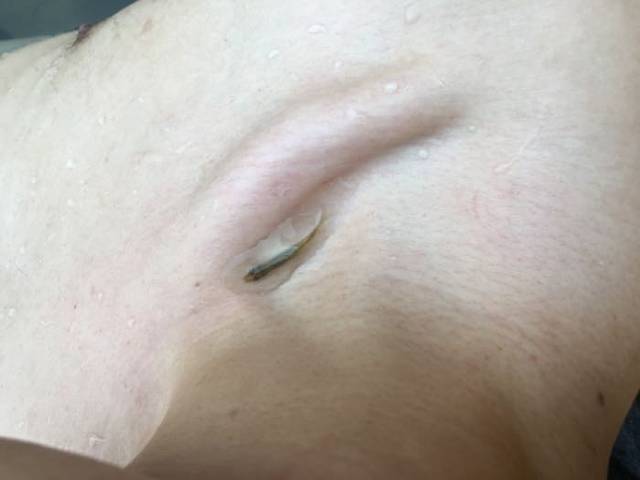 缙云山生态旅游观光索道