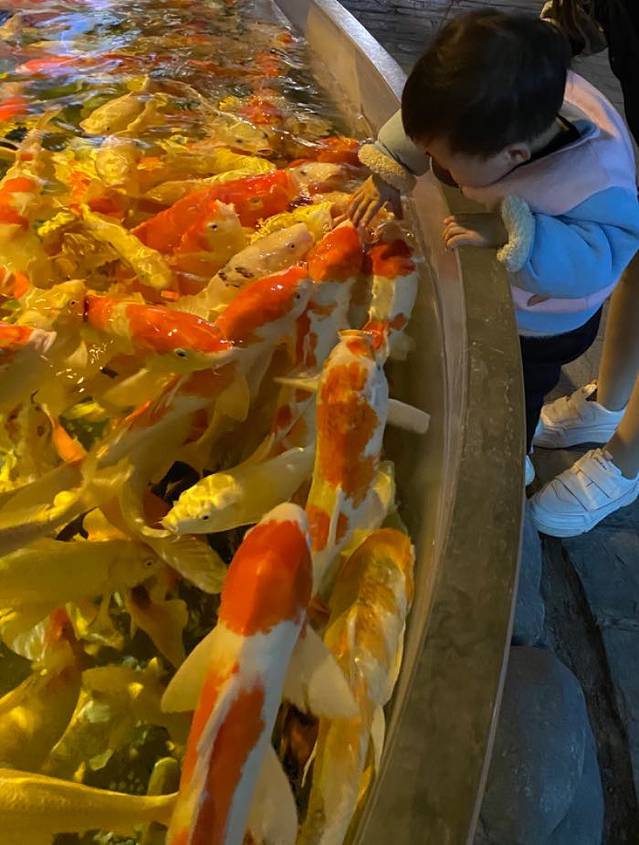 赣州极地海洋世界