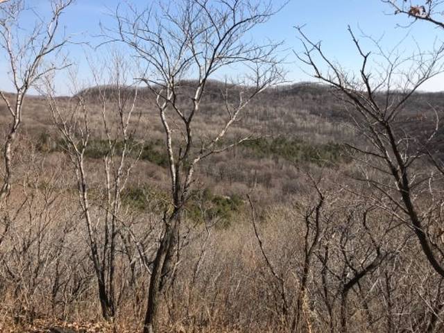 壹台山骆驼峰景区