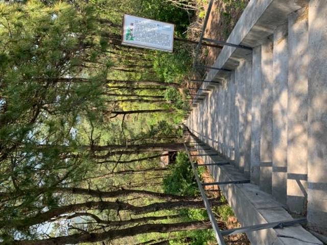 白兆山李白文化旅游区