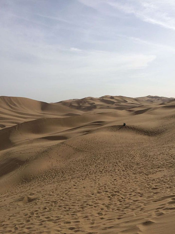 "宁夏沙坡头是非常值得一游的景点 我们在景点玩儿了近5个小时还没尽兴 希望有机会还能再去 银川是..._腾格里沙漠"的评论图片