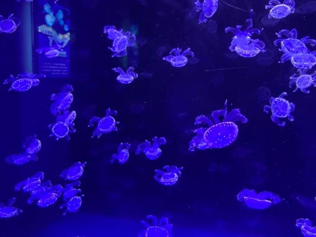 赣州极地海洋世界