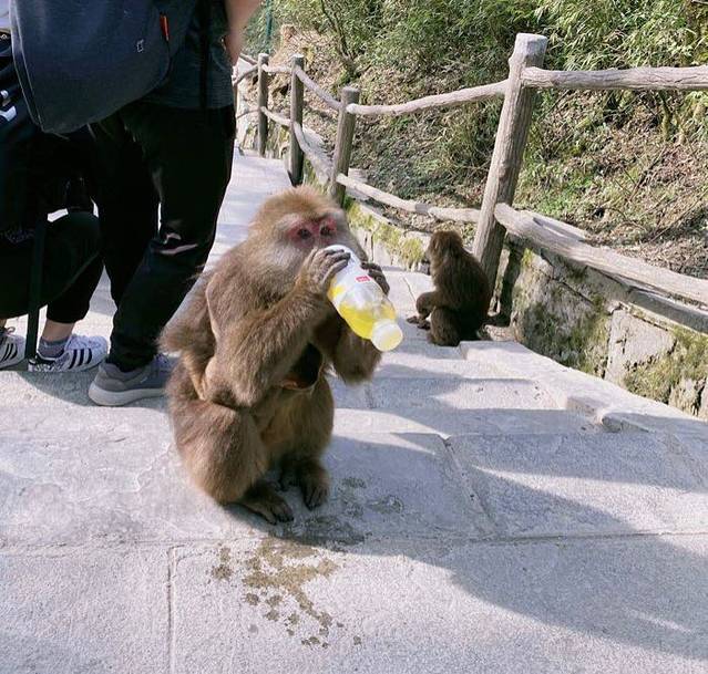 天工开物文化旅游景区